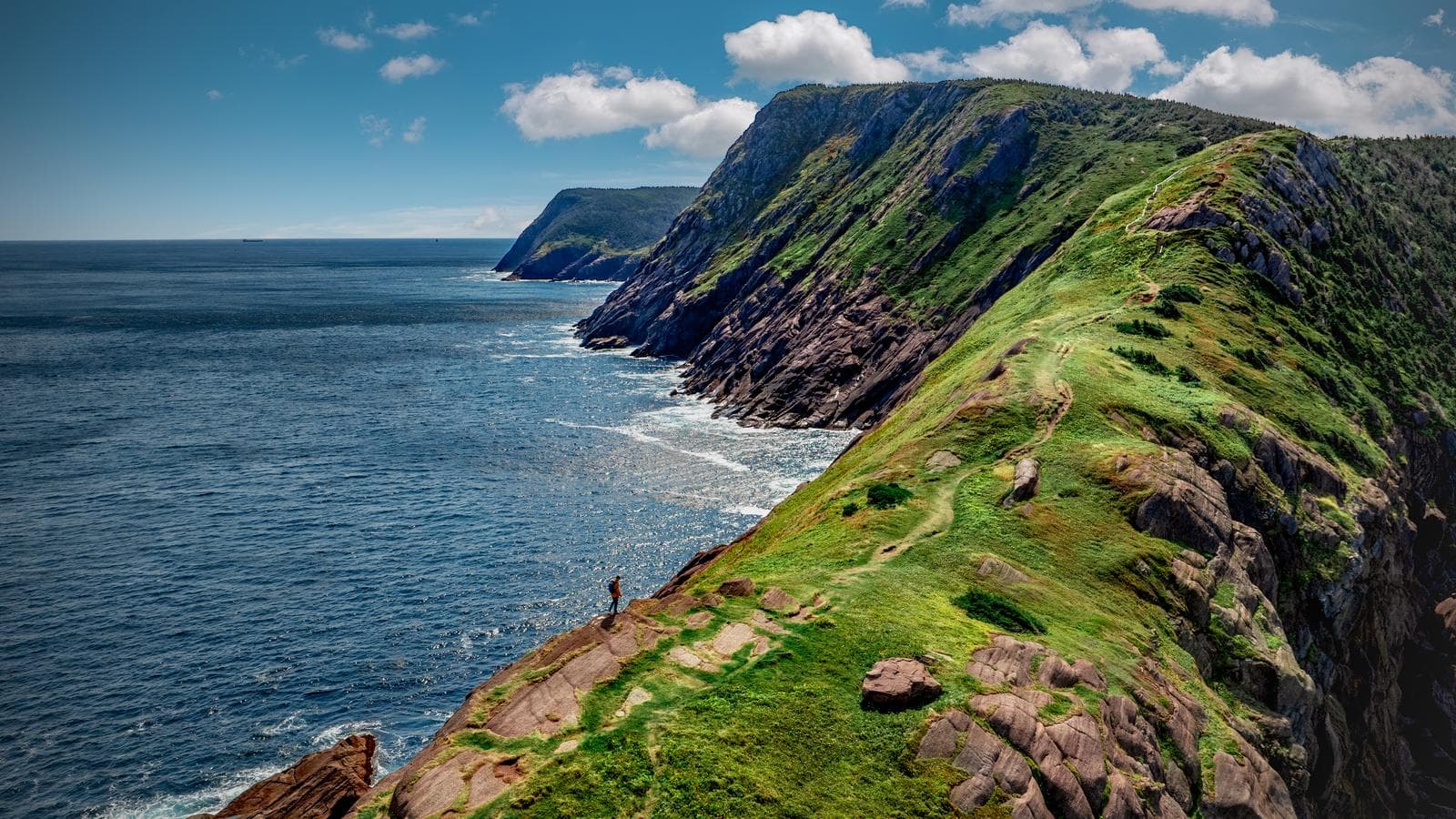 Newfoundland Adventure: From Deer Lake to St. John’s