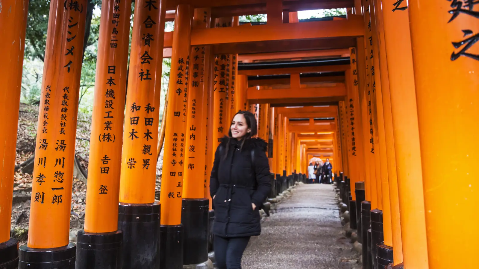 Epic Japan: Speed Trains & Street Food